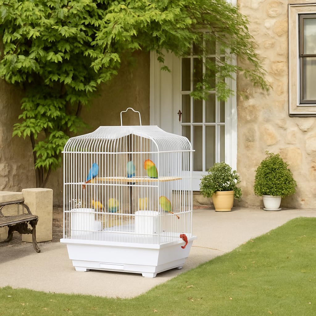 Cage de transport Garvee pour petits oiseaux avec structure métallique, portable, facile à nettoyer, pour canaris et perruches ondulées