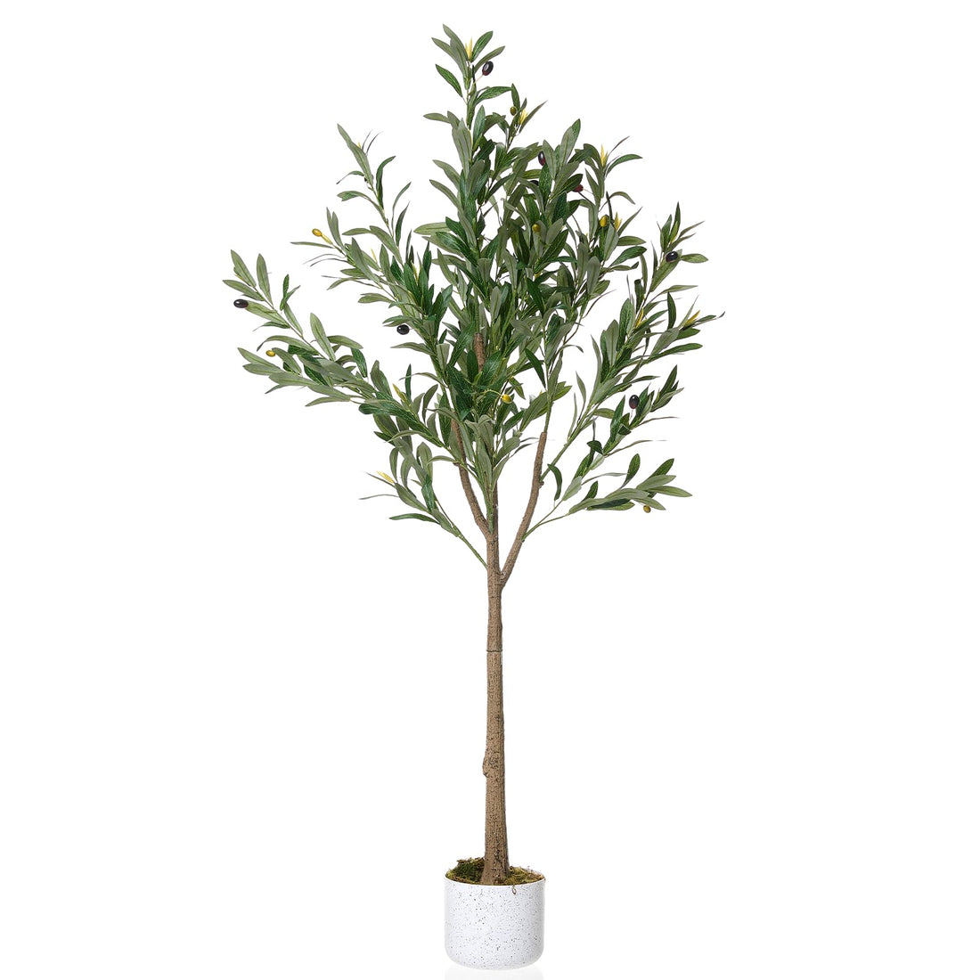 Olivier artificiel Garvee en pot avec 22 fruits, feuilles réalistes, pot en ciment robuste pour salon et bureau, facile d'entretien, vert