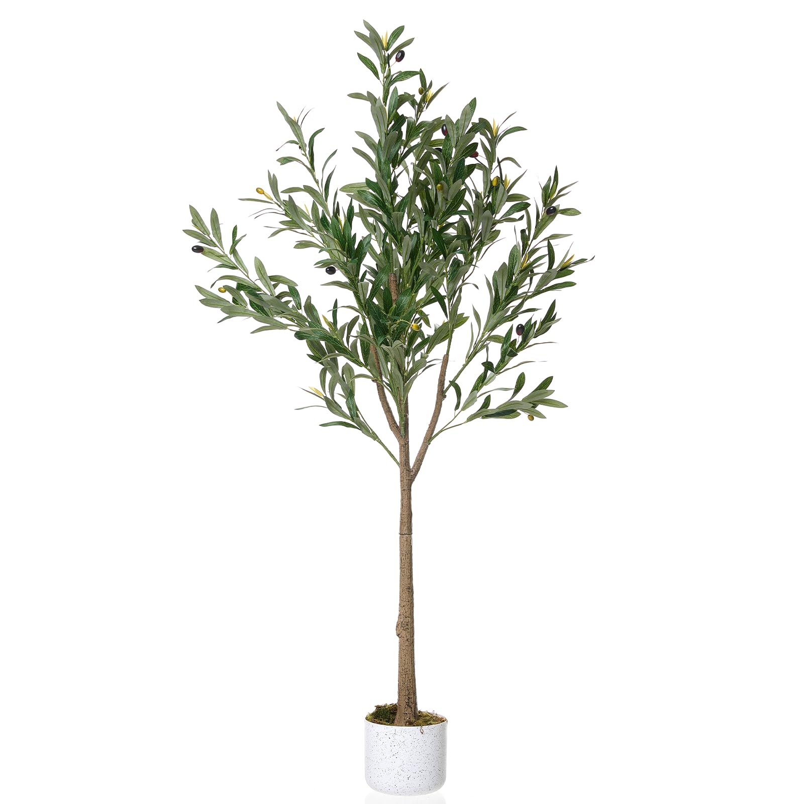 Olivier artificiel Garvee en pot avec 22 fruits, feuilles réalistes, pot en ciment robuste pour salon et bureau, facile d'entretien, vert