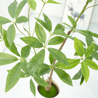 Arbre à monnaie artificiel Garvee 1,80 m, plante d'intérieur en PVC, feuilles ajustables, décoration verte pour bureau ou salon