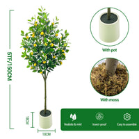 Arbre artificiel Garvee de 1,5 m (5 pi) pour intérieur, design réaliste, sans entretien, polyvalent pour la maison et le bureau, écologique
