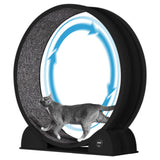 Garvee roue pour chat XL pour grands chats jusqu'à 12 kg, avec podomètre et griffoir, tapis amovible et fonctionnement silencieux, noire - Noir