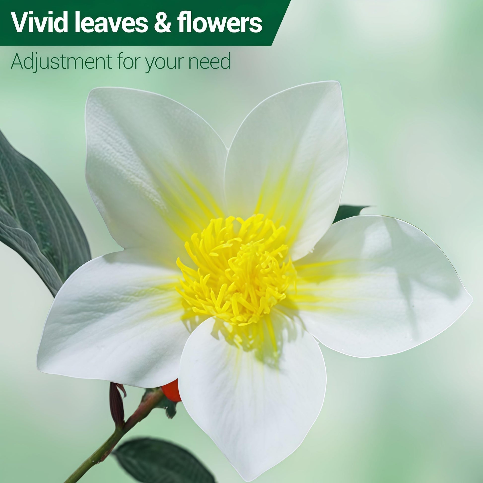 Magnolia artificiel Garvee de 1,5 m, floraison réaliste, entretien facile, pour la maison et le bureau, vert