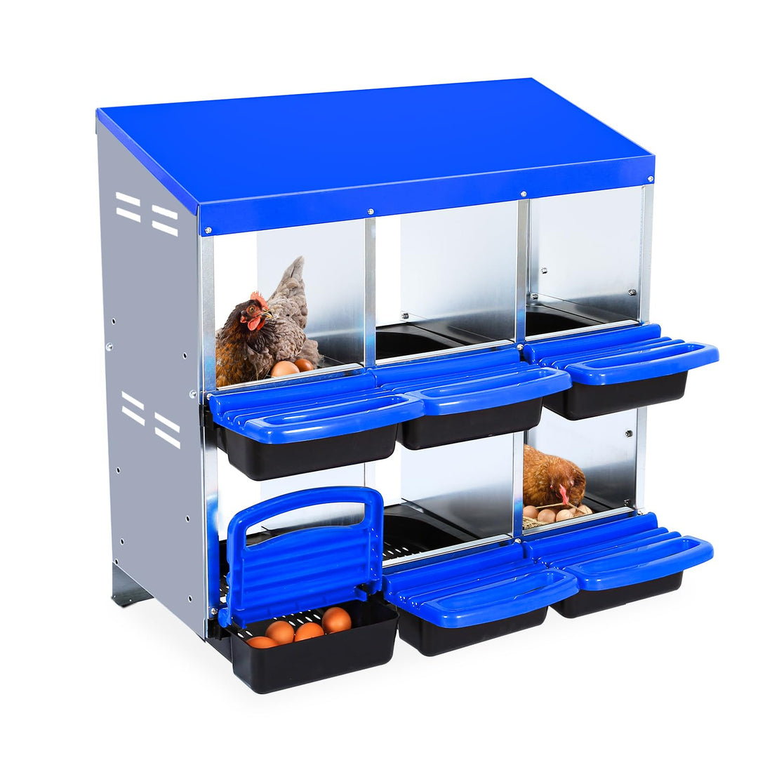 Garvee Pondoir pour Poules 6 Compartiments, Acier Galvanisé et PP, Système Roll Away, Poignées, Ventilation Supérieure, Collecte Facile, Bleu