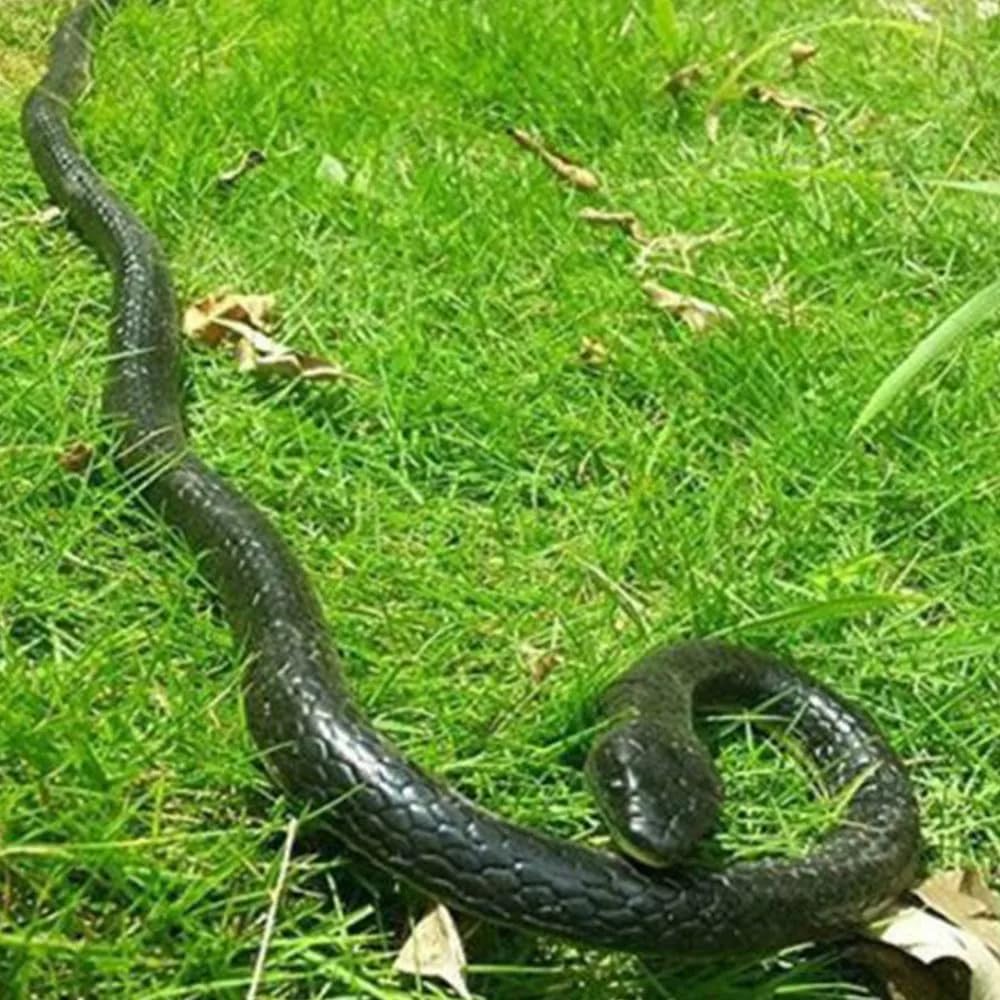 Serpent en caoutchouc réaliste Garvee, 132 cm, souple, pour protéger le jardin, Halloween et les fêtes, noir et jaune.