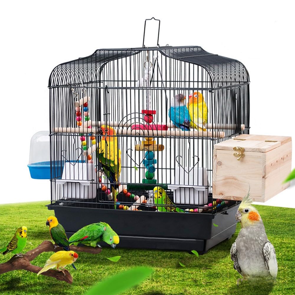 Cage de transport Garvee pour petits oiseaux avec structure métallique, plateau de fond amovible, portable, pour canaris et perruches, compacte, transparente