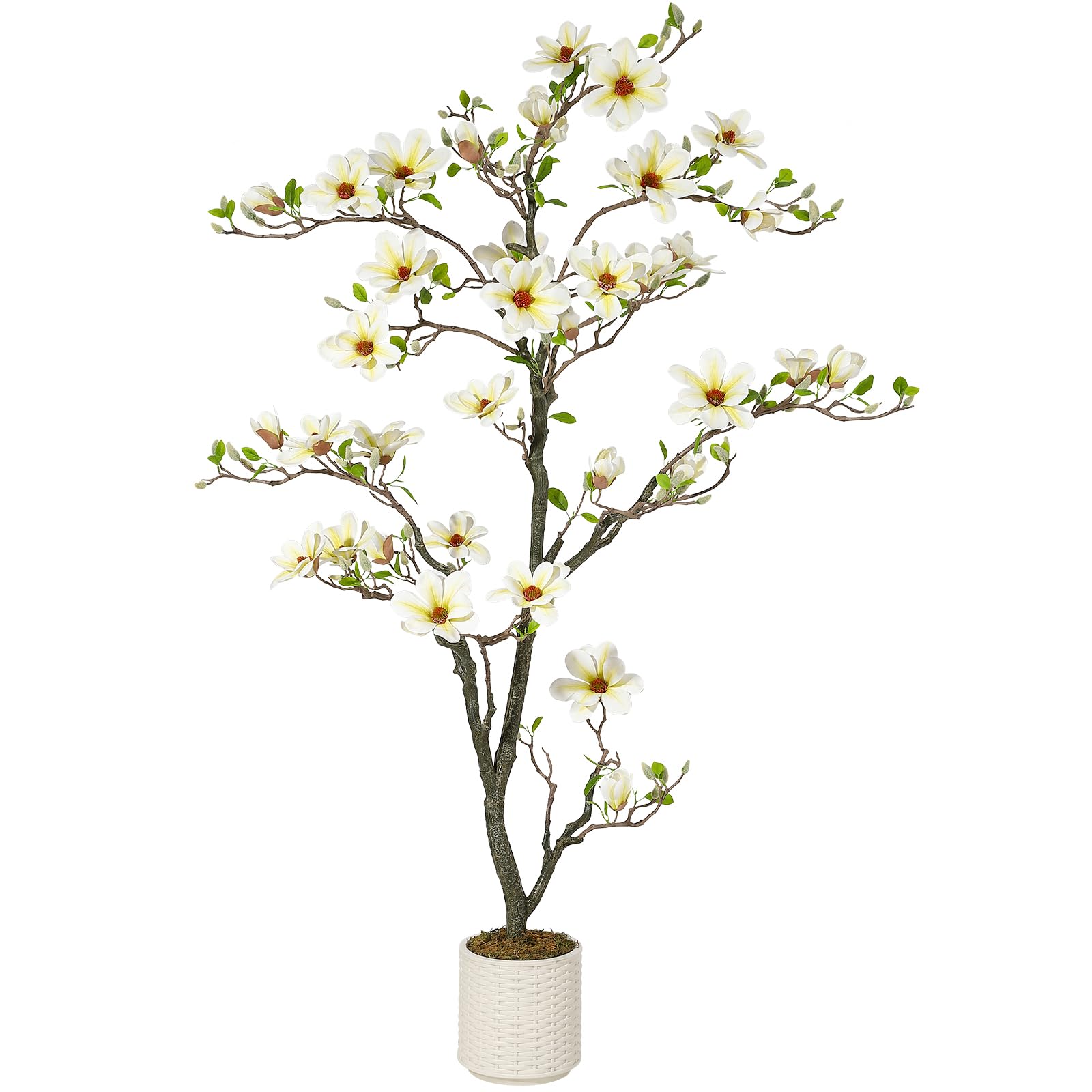 Magnolia artificiel Garvee de 1,8 m (6 pi) blanc avec branches ajustables pour une utilisation intérieure et extérieure, structure en métal, base stable