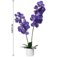 Orchidée Phalaenopsis artificielle Garvee de 79 cm (31 po) avec 14 fleurs, pot blanc, décoration pour salon et bureau, entretien facile, longue durée