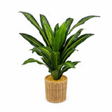 Garvee Plante Artificielle Dracaena 79 cm artificiel Tropical Feuilles Ajustables Plastique Légère Décor Intérieur Maison Bureau Salon Vert