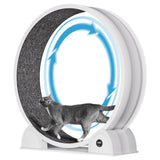 Garvee Roue pour Chat XL pour Grands Chats jusqu'à 12 kg, avec Podomètre et Griffoir, Tapis Amovible et Fonctionnement Silencieux, Blanc - Blanc