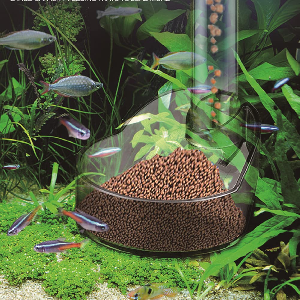 Ensemble de mangeoires Garvee pour poissons et crevettes, en verre cristal, grande capacité, accessoires d'aquarium, polyvalent, transparent