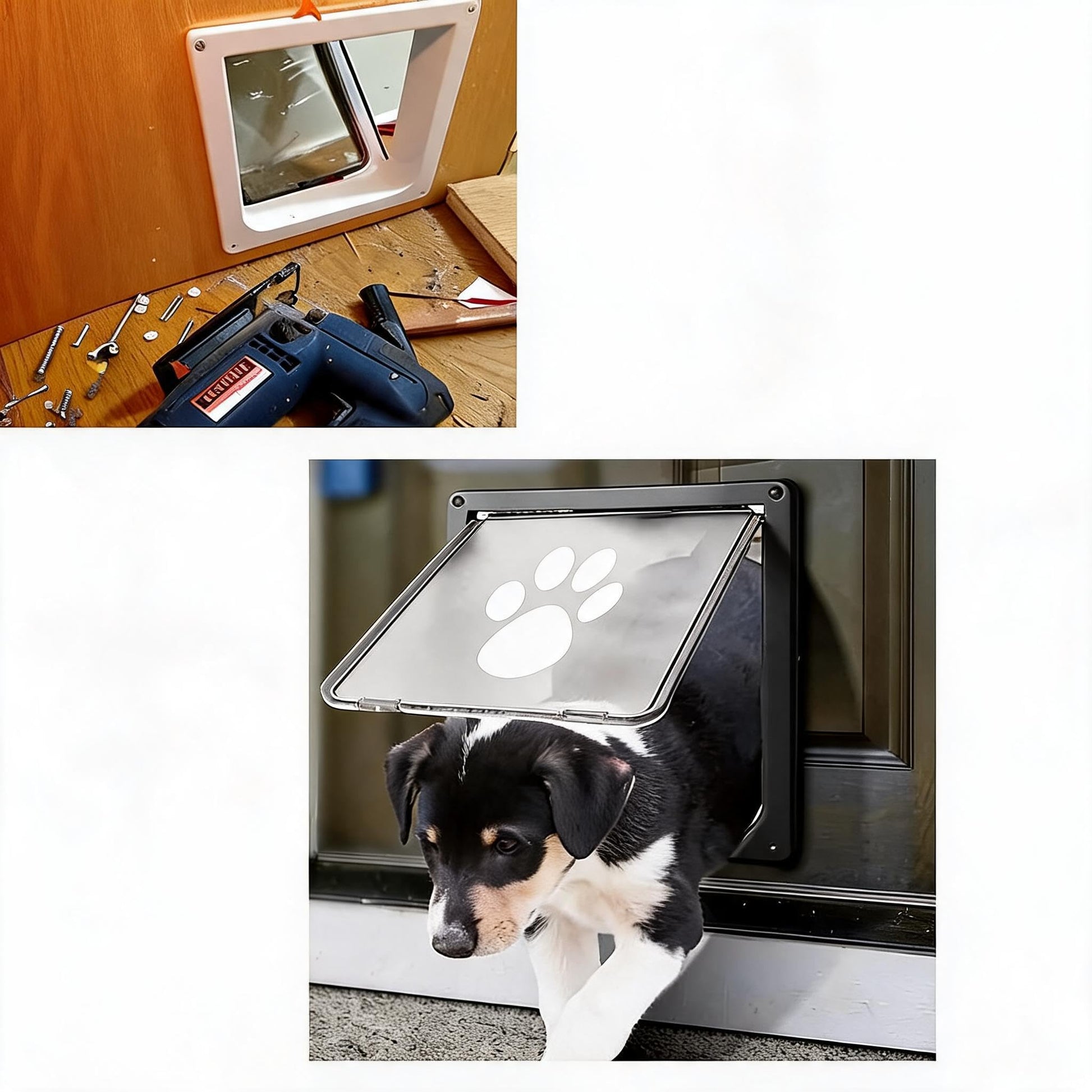 FQZPE_D80WDGCY