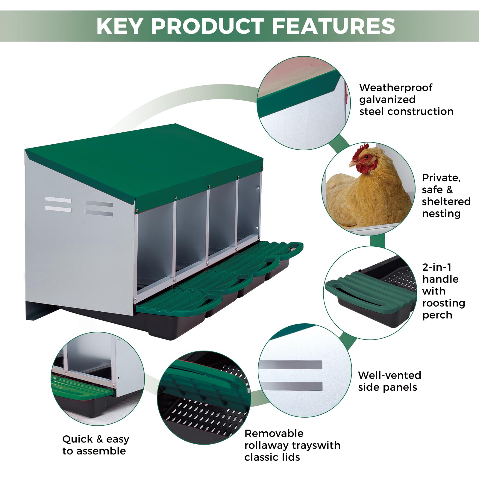 Garvee Nichoir pour Poules 4 Compartiments, Métal Galvanisé au Zinc avec Poignée en Plastique, Résistant pour Poulailler et Ferme, Vert