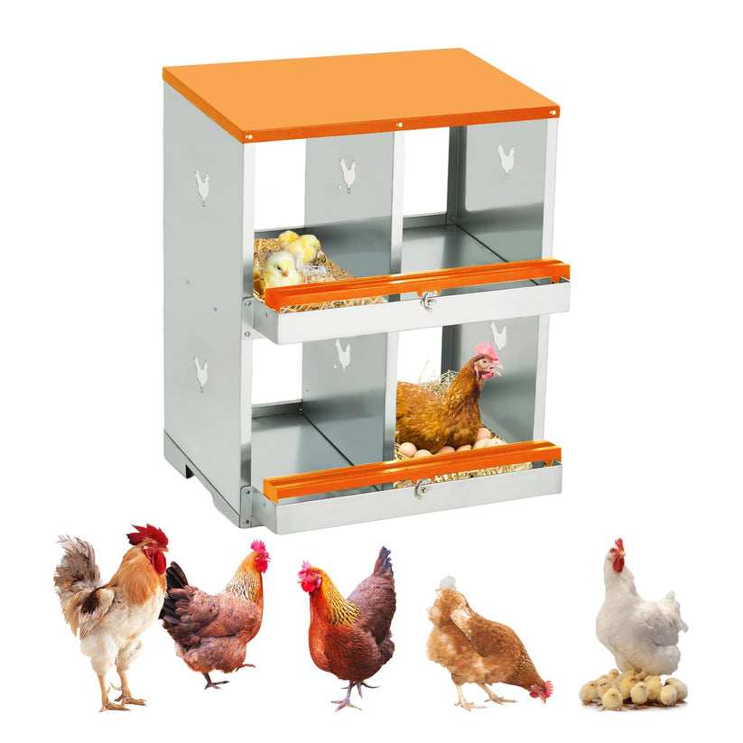 Pondoir Garvee en acier galvanisé pour poules