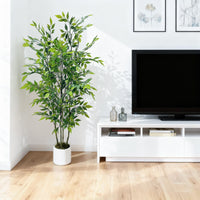 PHK_36JHC45X