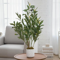 Olivier artificiel Garvee de 60 cm avec feuilles réalistes et 8 fruits, pot en ciment robuste pour salon et bureau, vert polyester