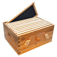 Ruche Garvee Langstroth à 10 cadres, corps de ruche profond, en bois de cèdre, avec fenêtres en acrylique transparent et revêtement 100 % cire d'abeille, idéale pour l'apiculture extérieure.