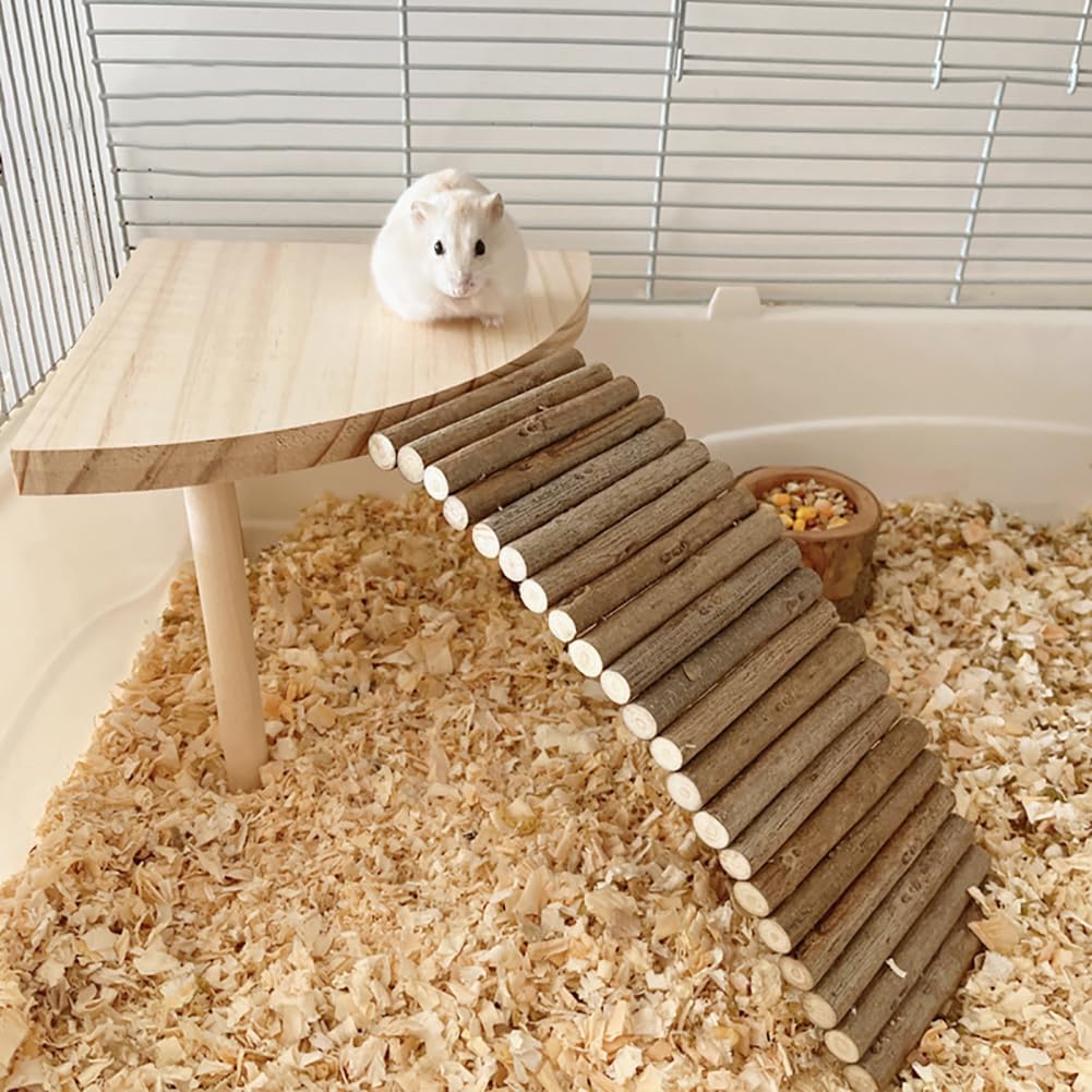 Plateforme d'escalade en bois Garvee pour hamsters, support et étagère en bois, jouet d'escalade Golden Bear à plusieurs niveaux, bois naturel marron