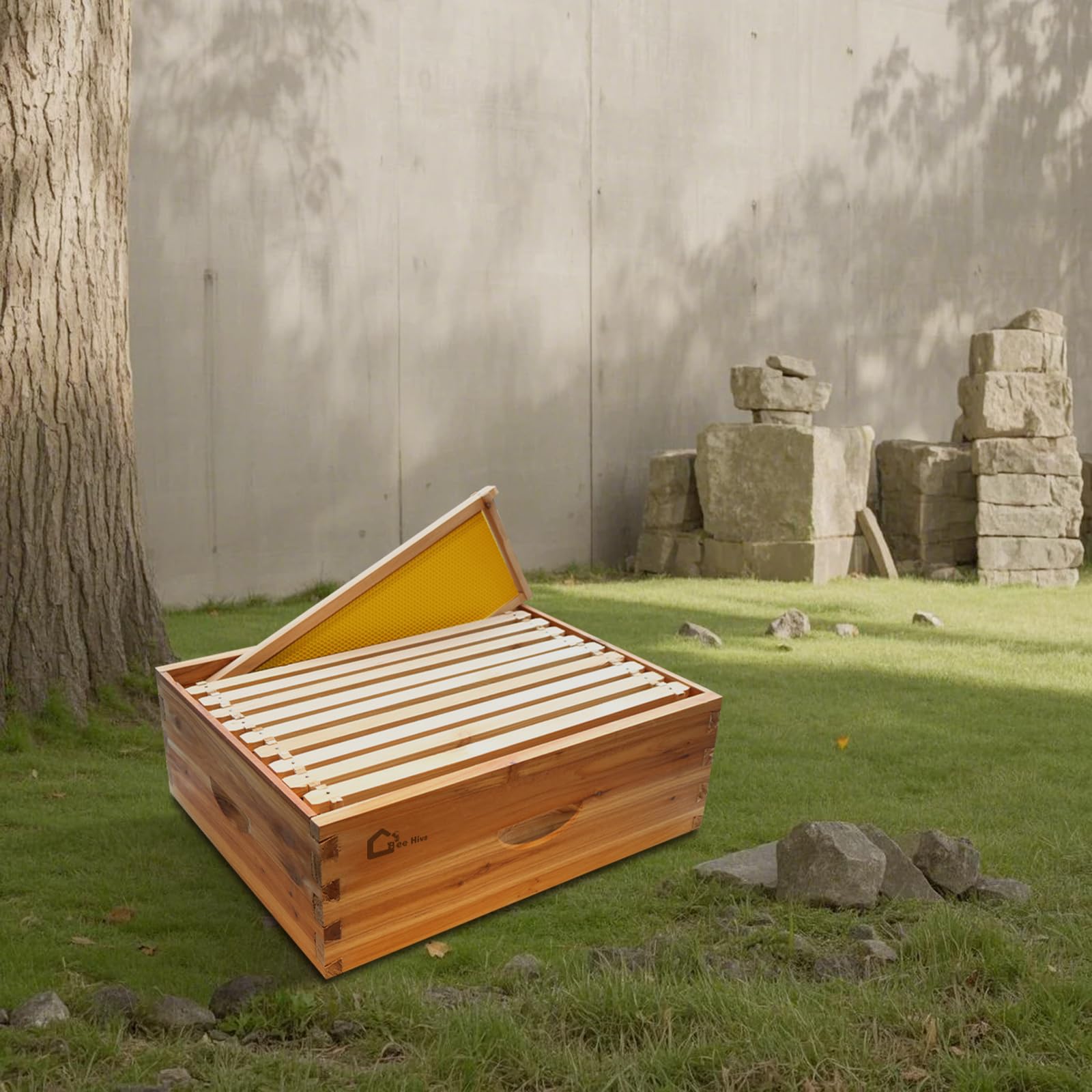 Ruche Langstroth Garvee à 10 cadres en bois de cèdre - Maison à abeilles 100 % cire d'abeille - Hausse moyenne pour l'apiculture - 41 x 50 x 17 cm - Matériel professionnel