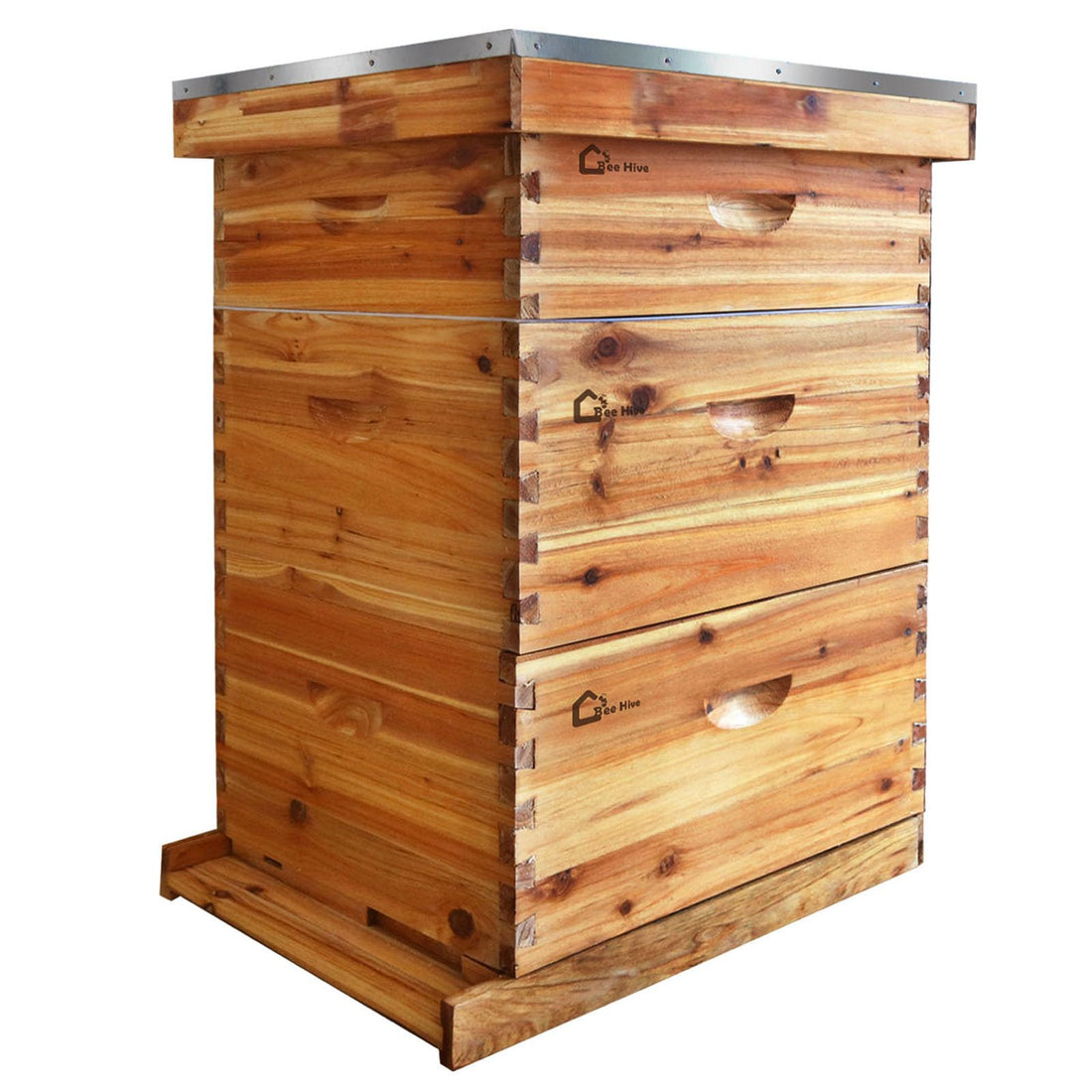 Kit de démarrage pour ruche Garvee Langstroth à 10 cadres en bois de cèdre et cire d'abeille, kit complet d'accessoires pour ruche.