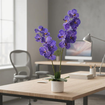 Orchidée Phalaenopsis artificielle Garvee de 79 cm (31 po) avec 14 fleurs, pot blanc, décoration pour salon et bureau, entretien facile, longue durée