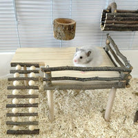 Plateforme d'escalade robuste Garvee en bois naturel pour cages à oiseaux et hamsters, plateforme à deux niveaux avec échelle, accessoires robustes, polyvalente, bois naturel
