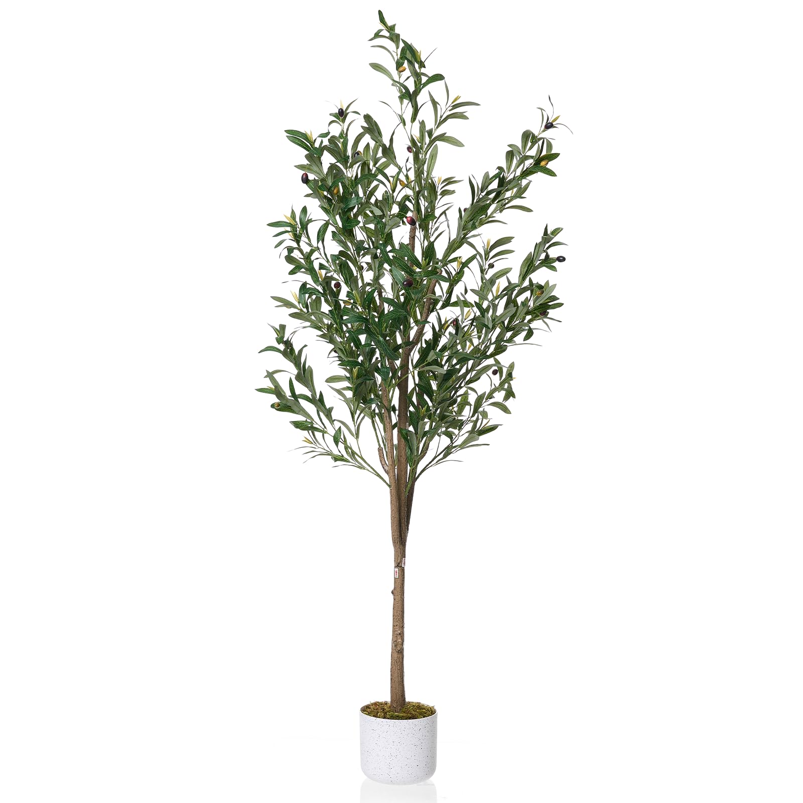 Olivier artificiel Garvee de 1,6 m avec feuilles et fruits réalistes, pot en ciment stable pour salon et bureau, entretien facile, polyester vert
