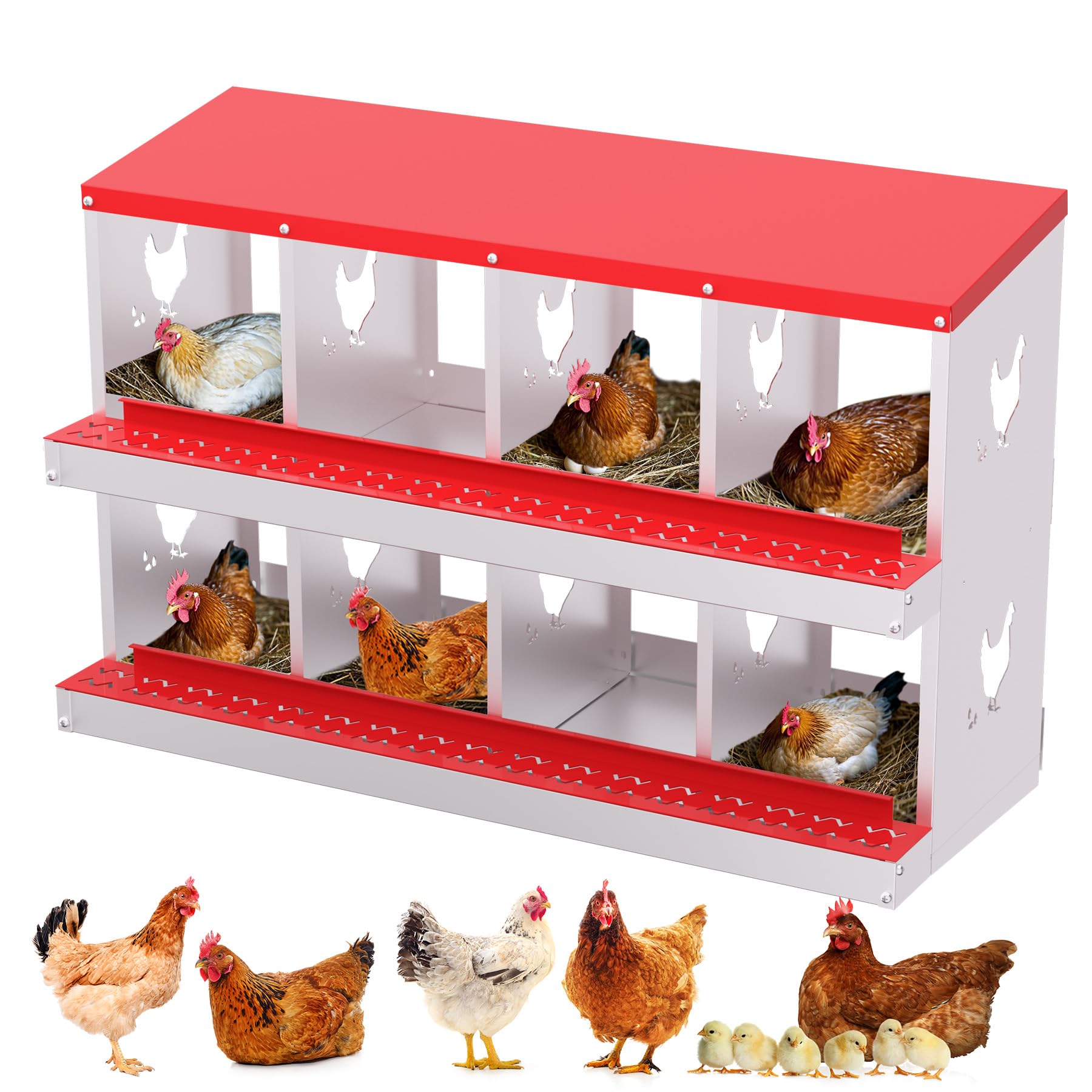 Garvee pondoir pour poules à 8 compartiments en acier galvanisé, résistant à la rouille, durable et ventilé, collecte des œufs facile, idéal pour poulailler