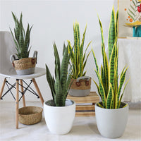 Plante serpent artificielle Garvee 50 cm (19,69 po) réaliste, facile d'entretien, pot en plastique, décoration tropicale d'intérieur pour bureau et maison, verte