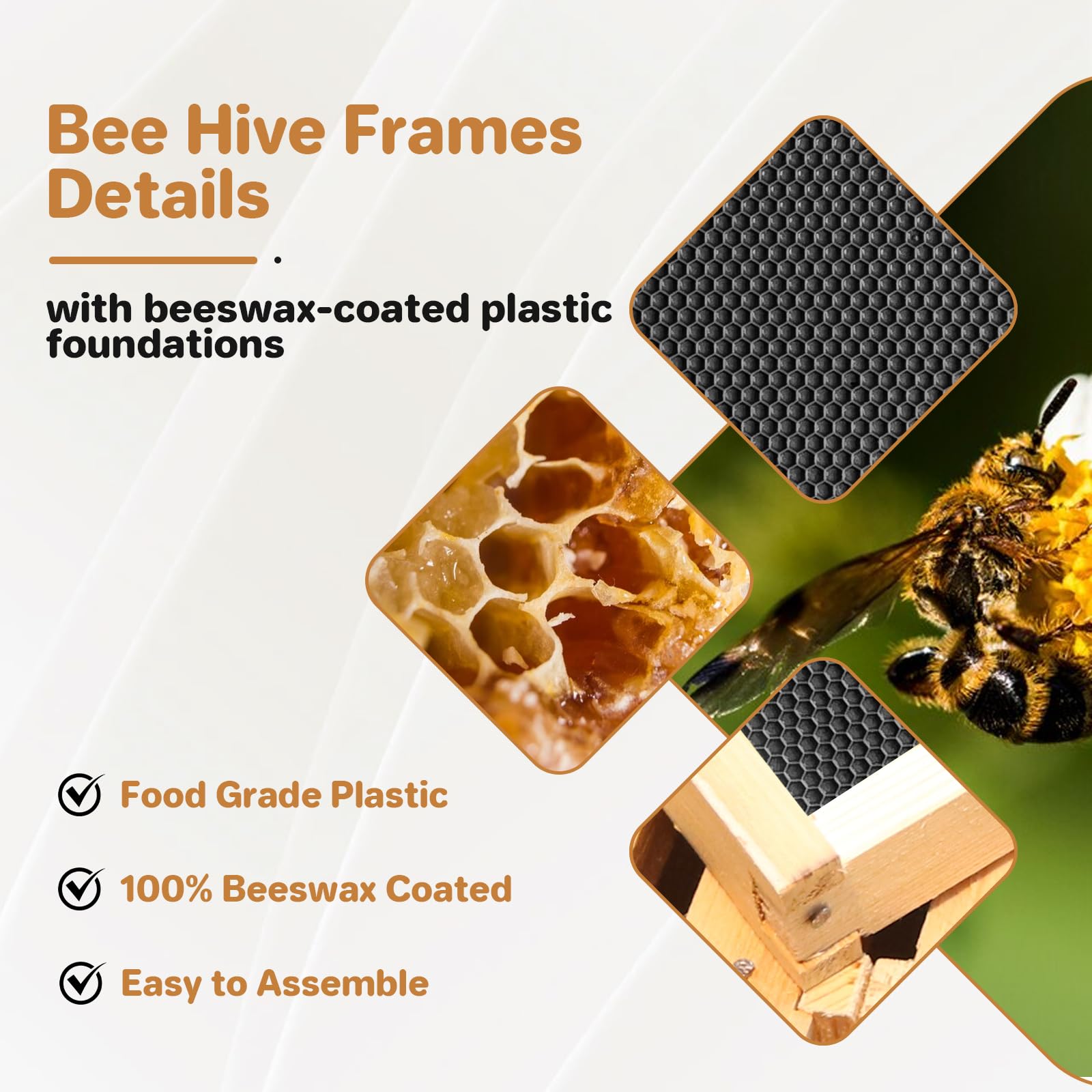 Ruche Garvee Langstroth à 10 cadres, corps de ruche profond, en bois de cèdre, avec fenêtres en acrylique transparent et revêtement 100 % cire d'abeille, idéale pour l'apiculture extérieure.