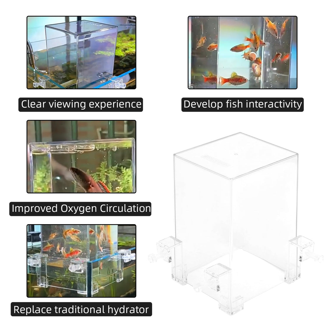 Support de levage transparent pour poissons d'aquarium Garvee en acrylique, pour parois d'aquarium de 18 mm, 12 x 13 x 19 cm