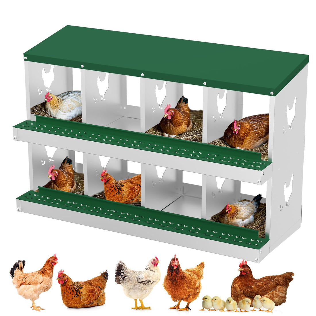 Garvee pondoir pour poules à 8 compartiments, acier galvanisé de 0,7 mm, conception résistante à la pluie, installation murale ou sur pieds, idéal pour poulaillers, fermes et jardins, vert