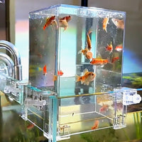 Support de levage transparent pour poissons d'aquarium Garvee en acrylique, pour parois d'aquarium de 18 mm, 12 x 13 x 19 cm