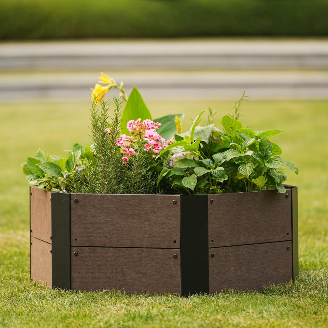 Kit de jardin surélevé hexagonal Garvee, aspect bois WPC, 6 panneaux, 30 cm de profondeur, modulaire et extensible pour balcon et jardin, ouvert, marron