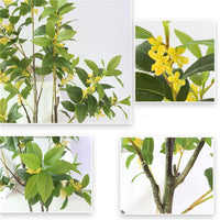 Osmanthus artificiel Garvee 1,4 m avec feuilles et fleurs réalistes, branches ajustables, matériau PU, sans entretien pour une utilisation intérieure et extérieure, vert