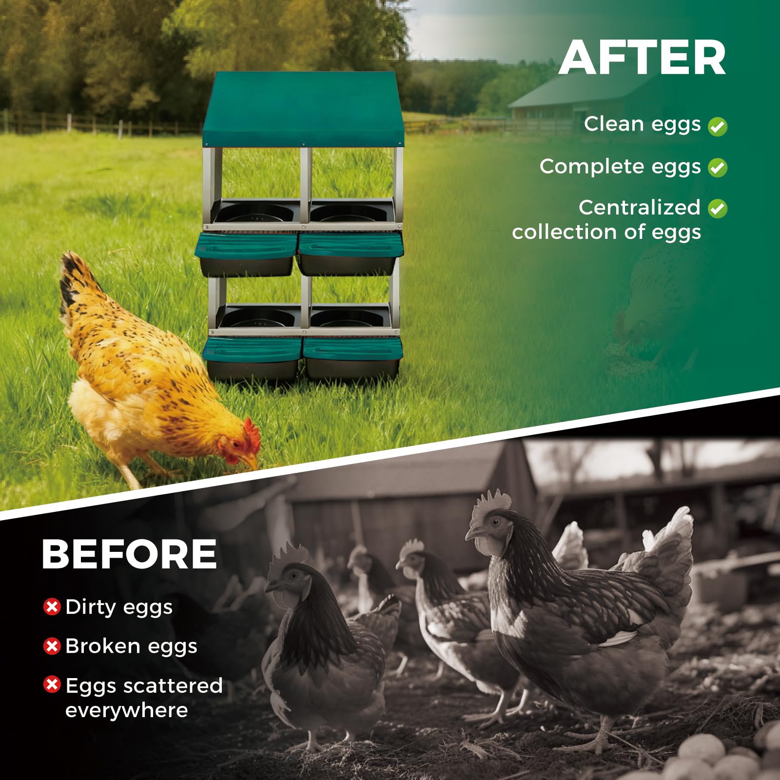 Garvee Nichoir pour Poules 4 Compartiments à 2 Niveaux, Métal Galvanisé au Zinc avec Poignée en Plastique et Plateau Amovible, Vert