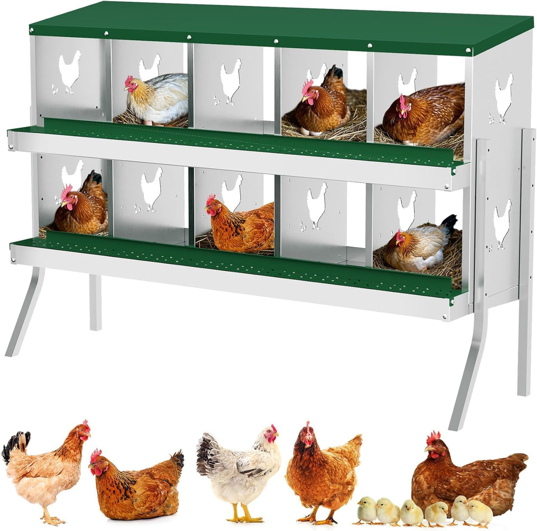 Garvee pondoir pour poules à 10 compartiments avec support métallique, acier galvanisé de 0,7 mm, collecte automatique des œufs, idéal pour poulaillers, fermes et jardins, vert
