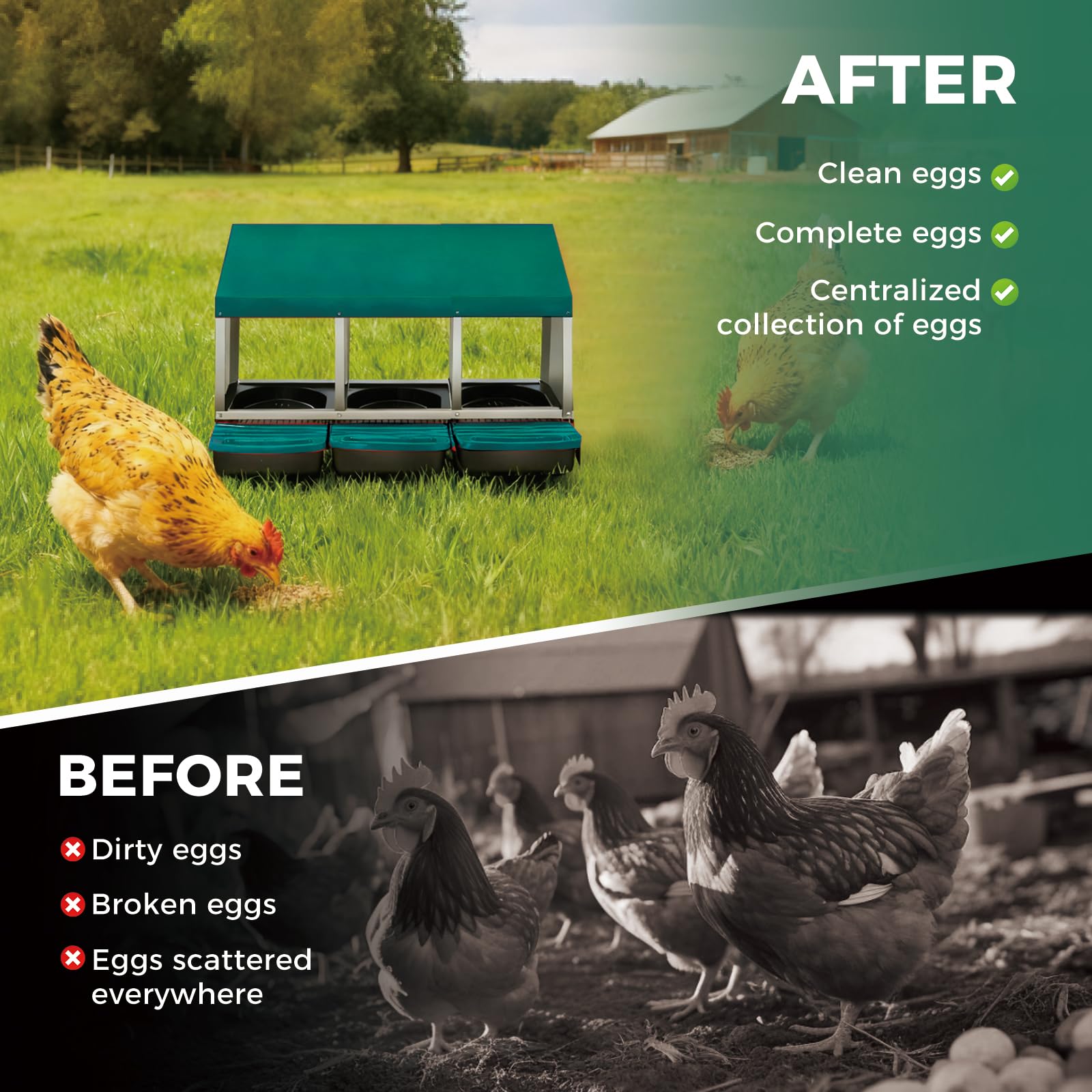 Garvee Nichoir pour Poules 3 Compartiments, Métal Galvanisé au Zinc avec Poignée en Plastique, Résistant pour Poulailler et Ferme, Vert