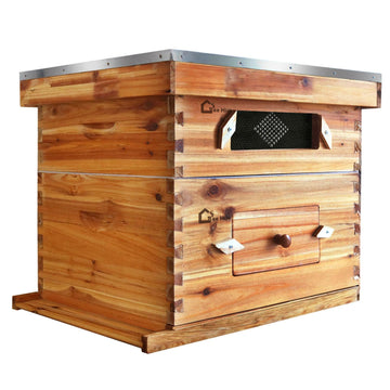 Kit de ruche Garvee Langstroth à 10 cadres avec revêtement en cire d'abeille, bois de cèdre, fenêtre en acrylique, ventilation, kit de démarrage