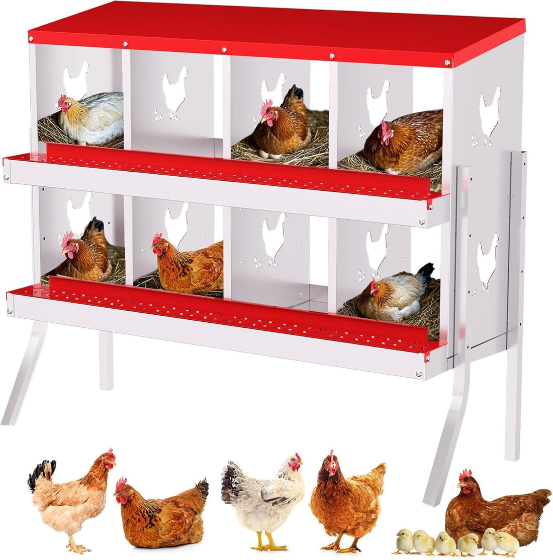 Garvee pondoir pour poules à 8 compartiments avec support métallique, acier galvanisé de 0,7mm, système de collecte des œufs par roulement
