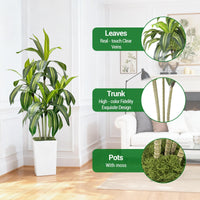Arbre dragon artificiel Garvee 150 cm avec pot de fleurs blanc pour salon, balcon ou bureau, décoration tropicale verte