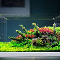 Garvee Décorations d'aquarium en résine, abri en forme de tonneau à vin, grotte idéale pour les poissons et les crevettes, pour se reposer et jouer, couleur naturelle