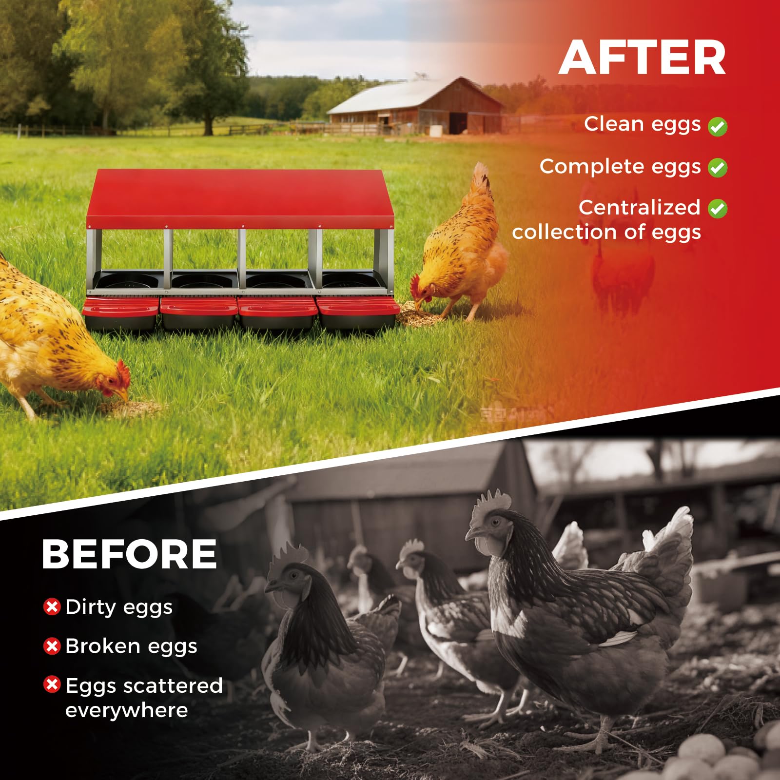 Garvee Nichoir à Poules 4 Compartiments en Métal Galvanisé avec Poignée en Plastique, Plateau Amovible, Antirouille pour Poulailler, Rouge