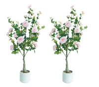 PHK_3677USD9