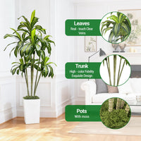 Arbre dragon artificiel Garvee de 180 cm avec pot de fleurs blanc pour salon, balcon ou bureau. Plante tropicale en plastique, réaliste et ajustable.