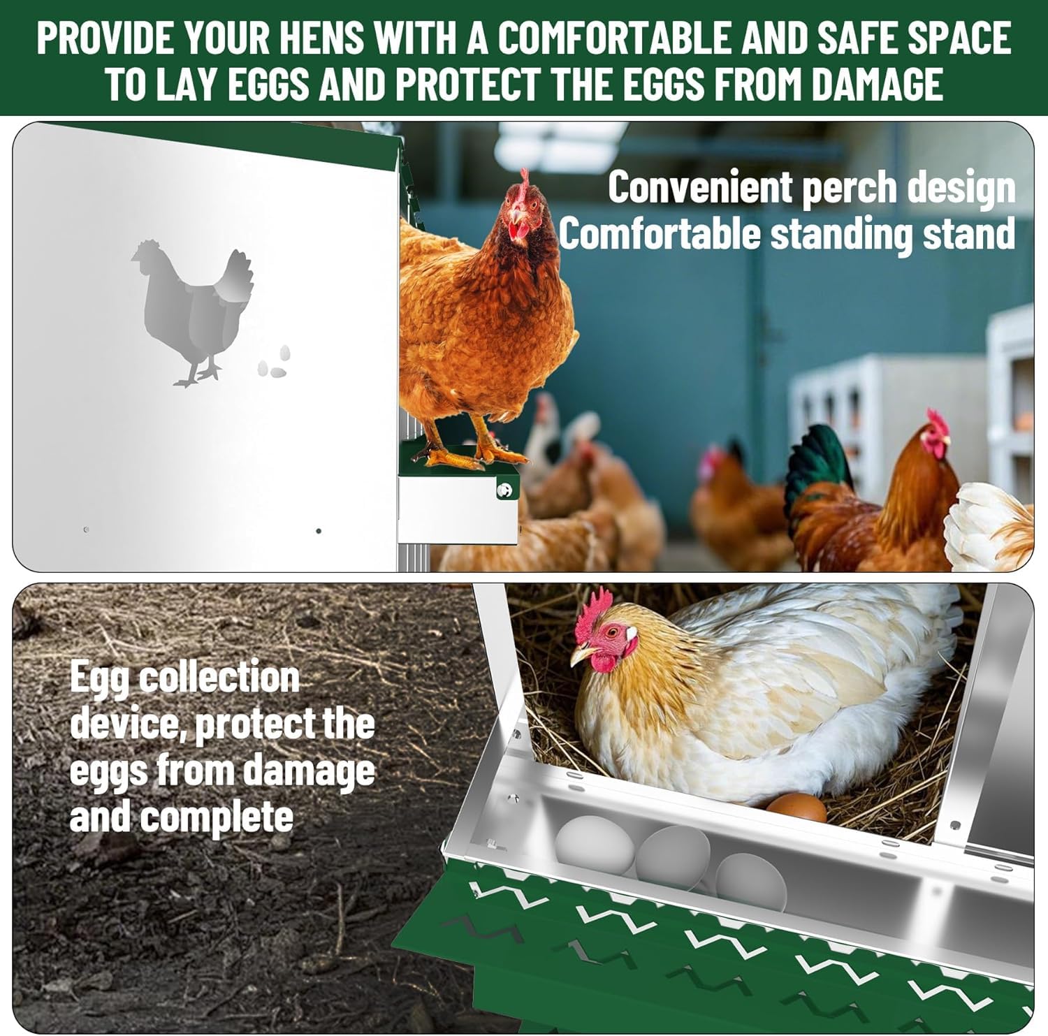 Garvee pondoir pour poules à 10 compartiments avec support métallique, acier galvanisé de 0,7 mm, collecte automatique des œufs, idéal pour poulaillers, fermes et jardins, vert