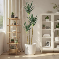 Plante artificielle Garvee en bois de fer brésilien, 1,80 m, arbre de jardin à 5 troncs, flexible et facile d'entretien, en polyéthylène, pot élégant pour la décoration intérieure et extérieure, vert.