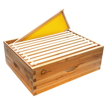 Ruche Langstroth Garvee à 10 cadres en bois de cèdre - Maison à abeilles 100 % cire d'abeille - Hausse moyenne pour l'apiculture - 41 x 50 x 17 cm - Matériel professionnel