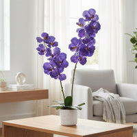 Ensemble de 2 plantes artificielles Magnolia Garvee de 79 cm (31 po) avec pot de fleurs blanc moucheté, pour salon et bureau. Entretien facile. Matière PEVA.