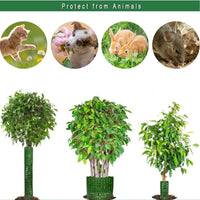 Garvee Protège-troncs extensibles en PVC, maille de protection pour écorce, lot de 10, vert, idéal jeunes arbres et jardin